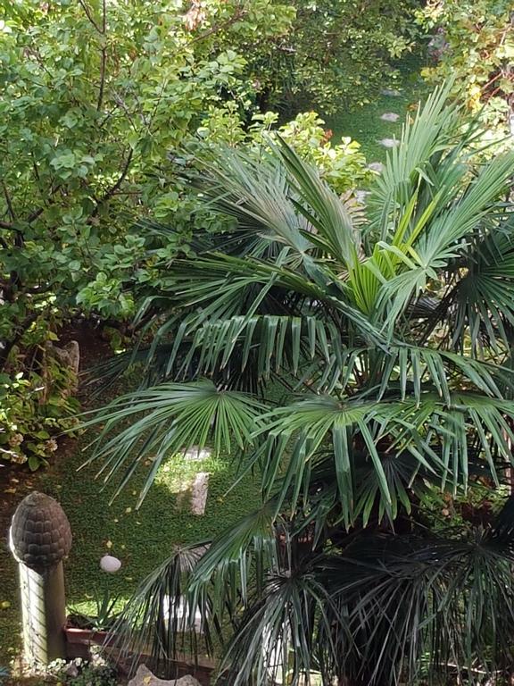 Appartamento Garden Ca' Rezzonico Venice Exterior photo